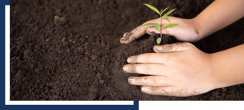 Corporate Social Responsibility